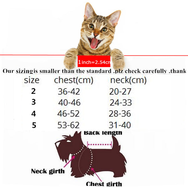 Funny Cat Clothes Costume
