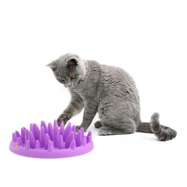 Catch Interactive Hard Silicone Cat Slow Food Feeder Bowl