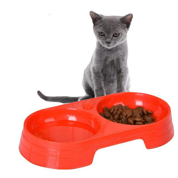 Double Bowls Design Cat Bowl