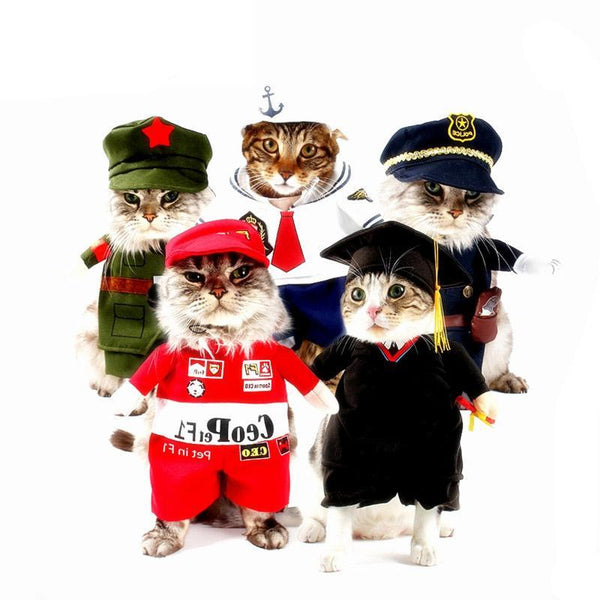 Funny Cat Clothes Costume