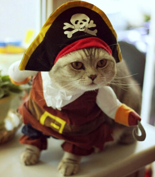 Funny Cat Clothes Costume