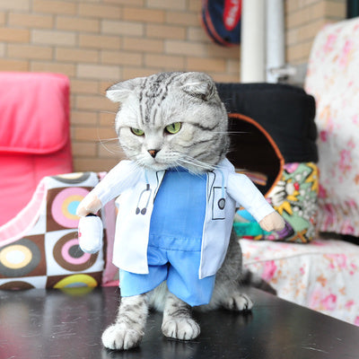 Funny Cat Clothes Costume