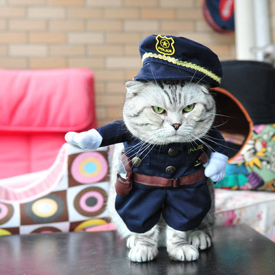 Funny Cat Clothes Costume
