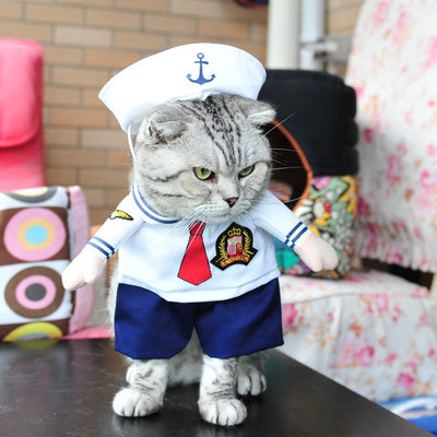 Funny Cat Clothes Costume