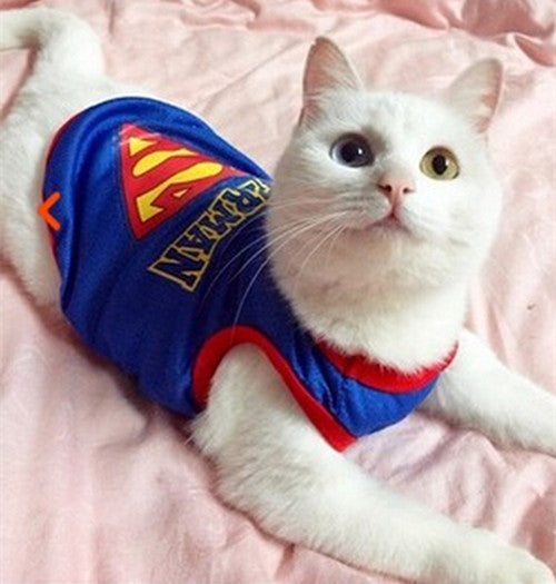 Funny Cat Clothes Costume